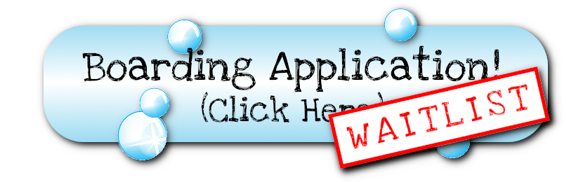 Shear Magic Dog Spa & Resort - Fill Out An Application Today!